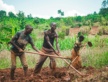 La table ronde des agri-preneurs